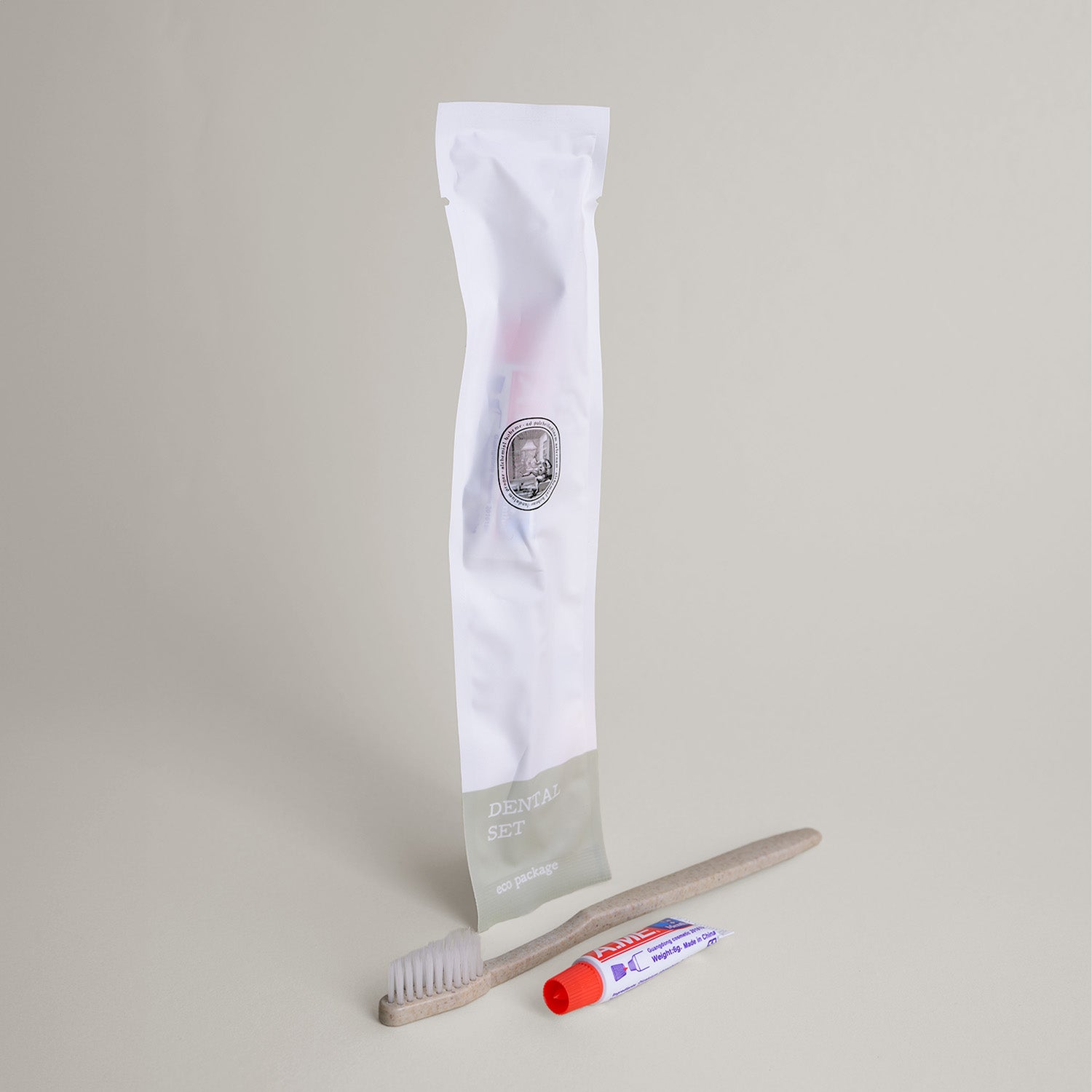 toothbrush and a toothpaste kit